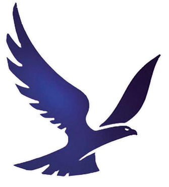 MEG Logo